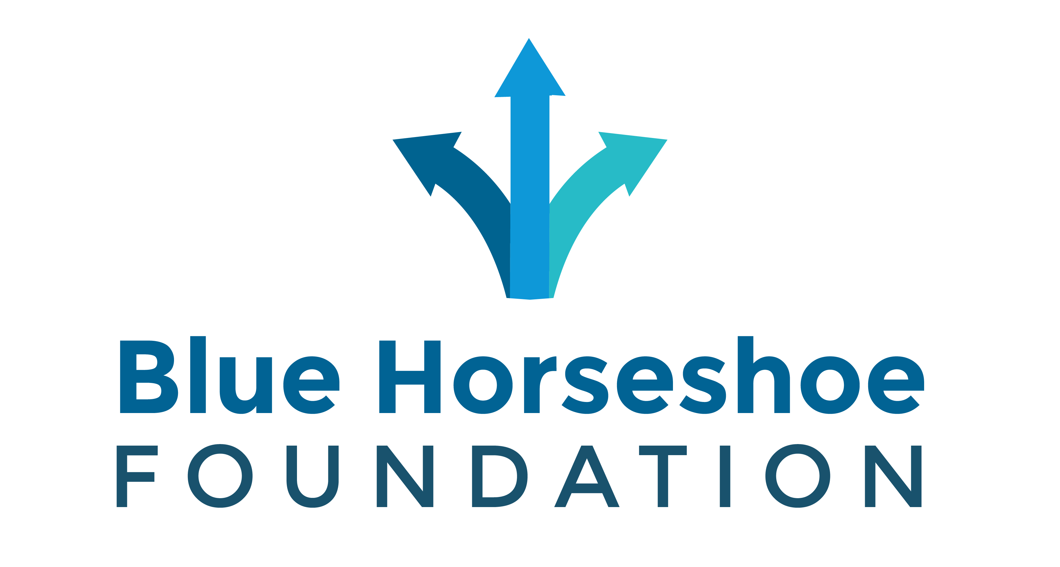 Blue Horseshoe Foundation